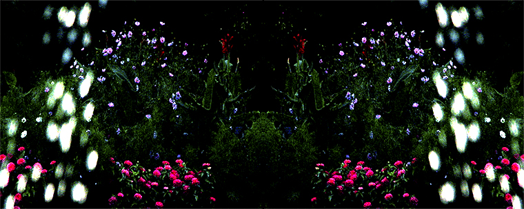 WinterGarden (v)